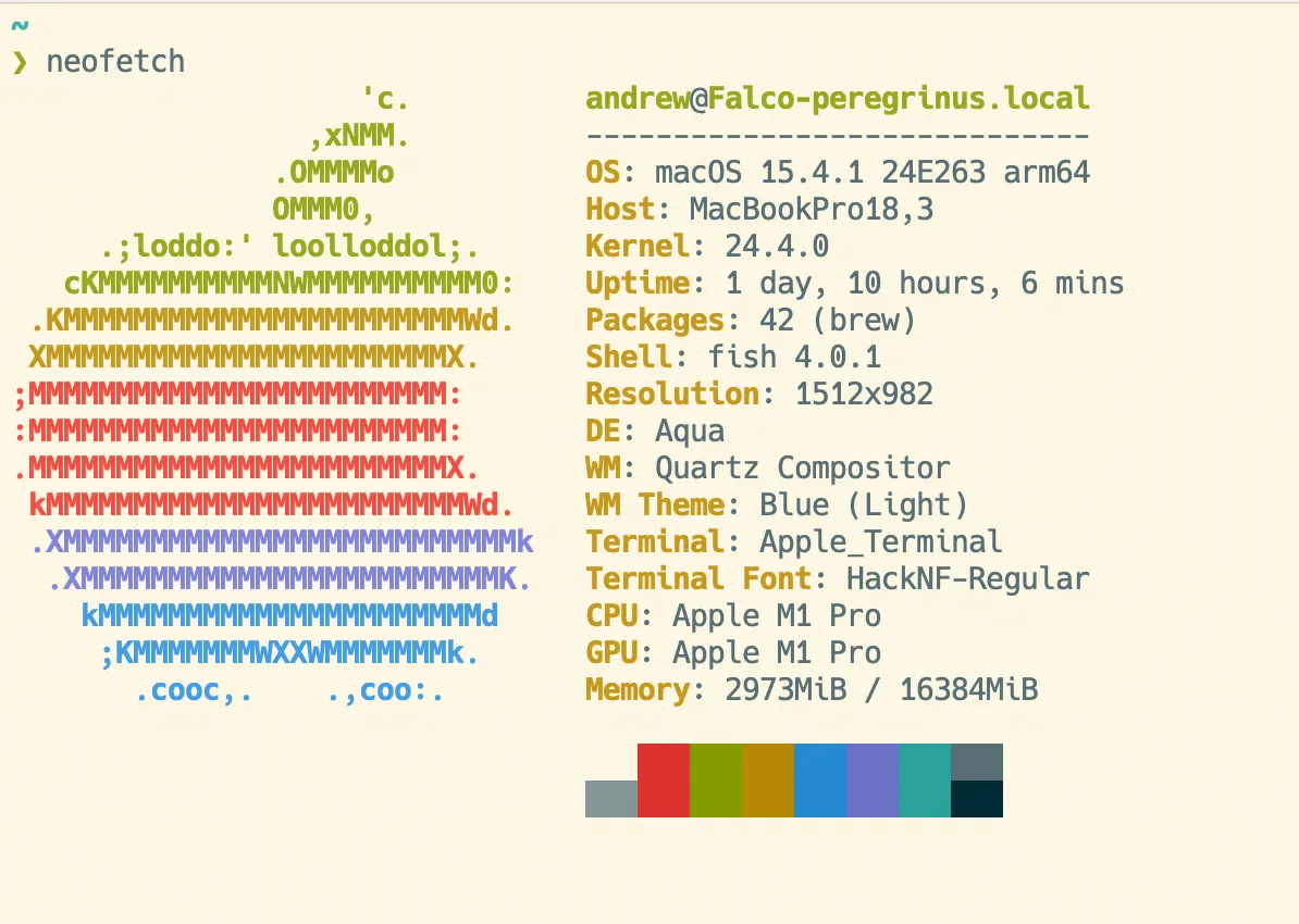 Setting up my fish shell from scratch on macOS